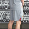Junior | Training Shorts | Grey | 2024/25