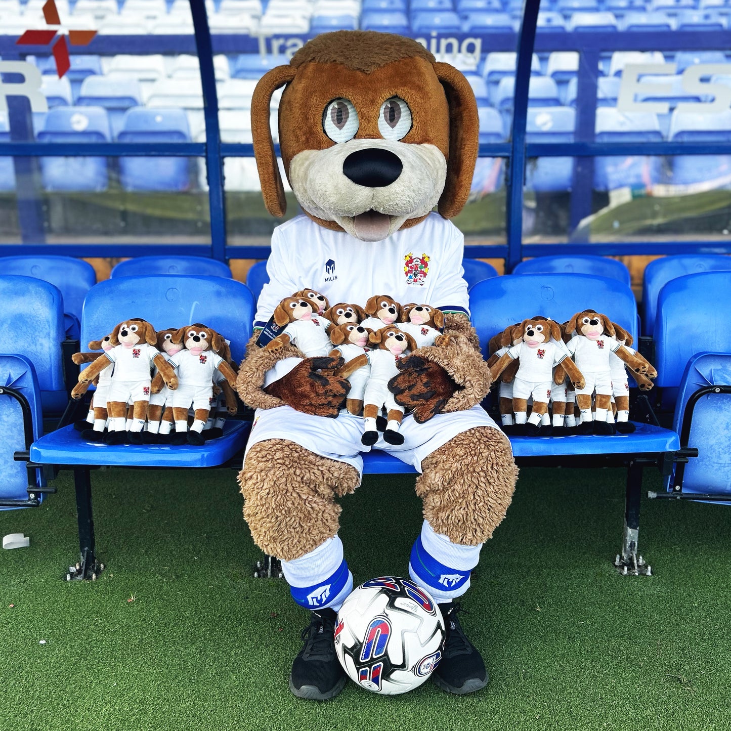 Rover the Dog Plush