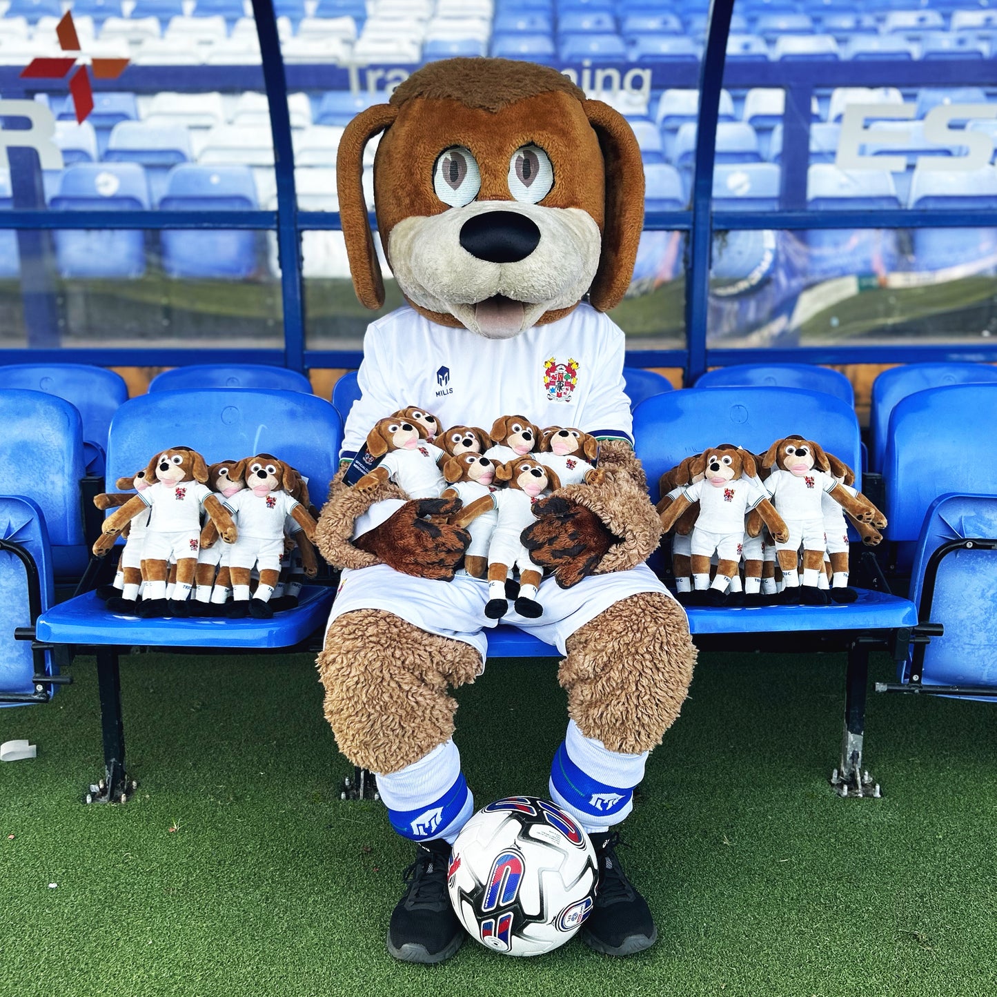 Rover the Dog Plush