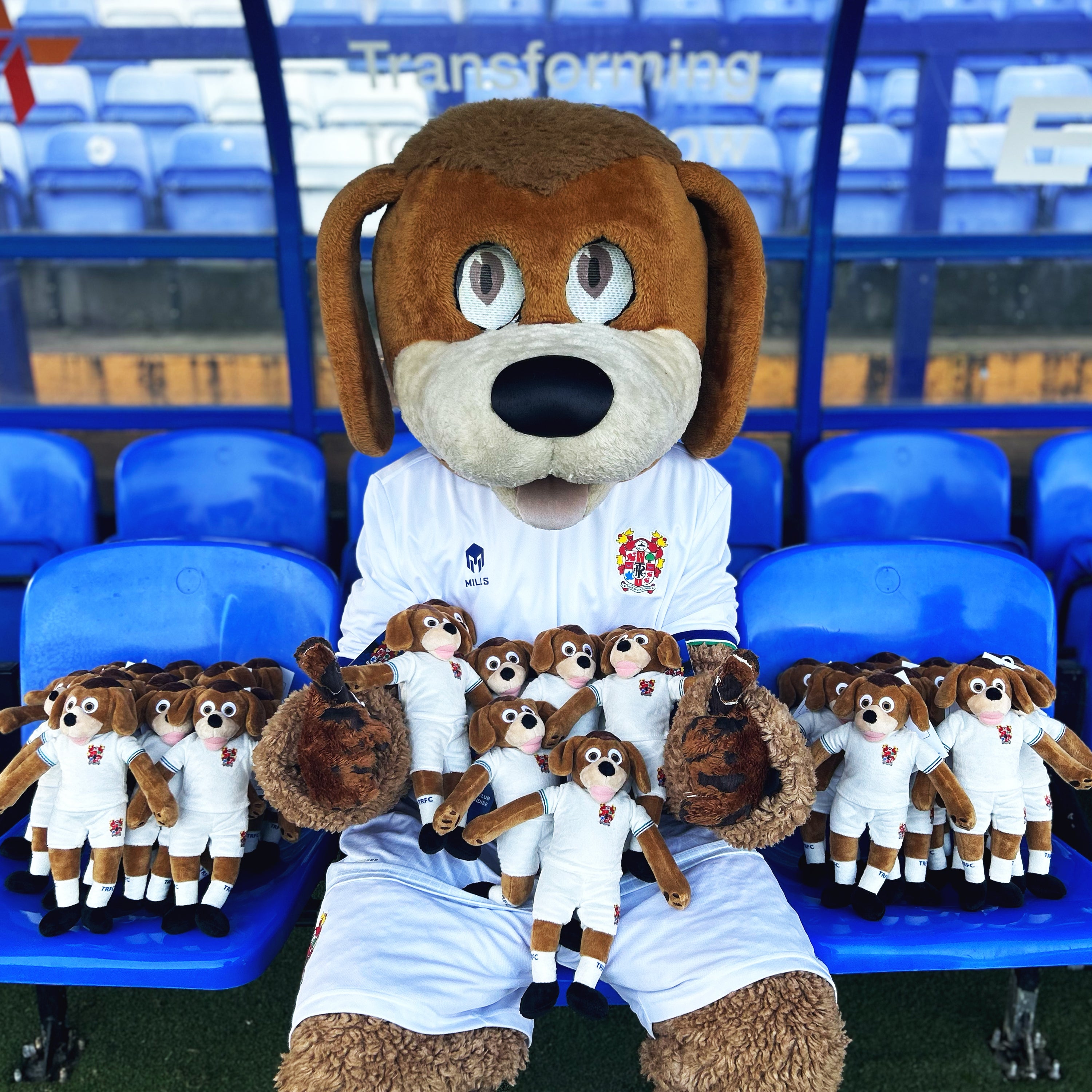 Tranmere Rovers Mascot Plush Toy – Rover the Dog Soft Toy