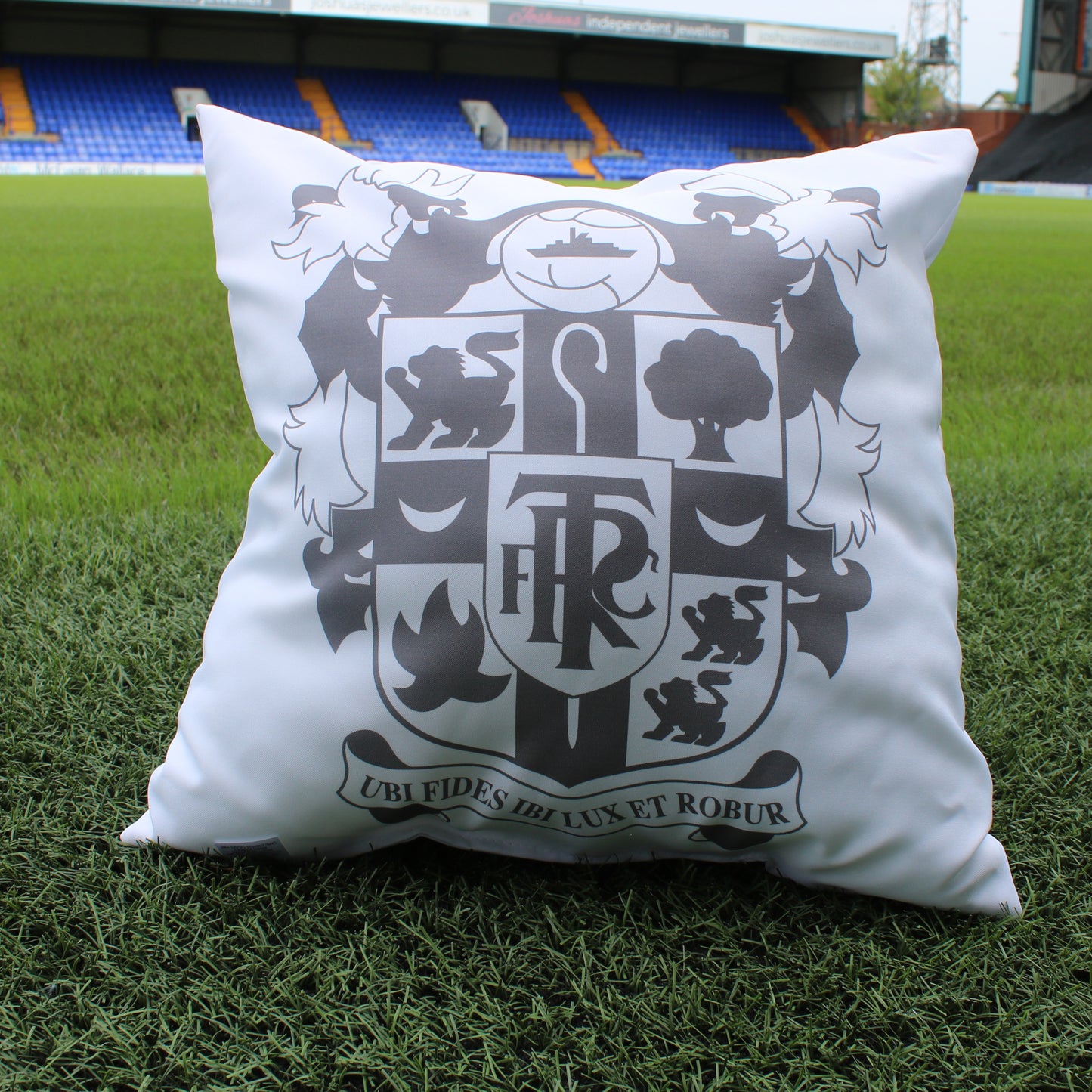 Silver Crest Cushion