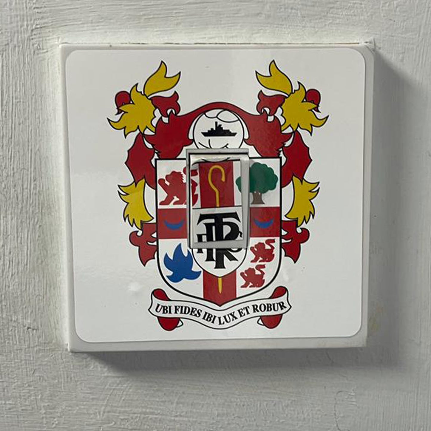 Light Switch Cover