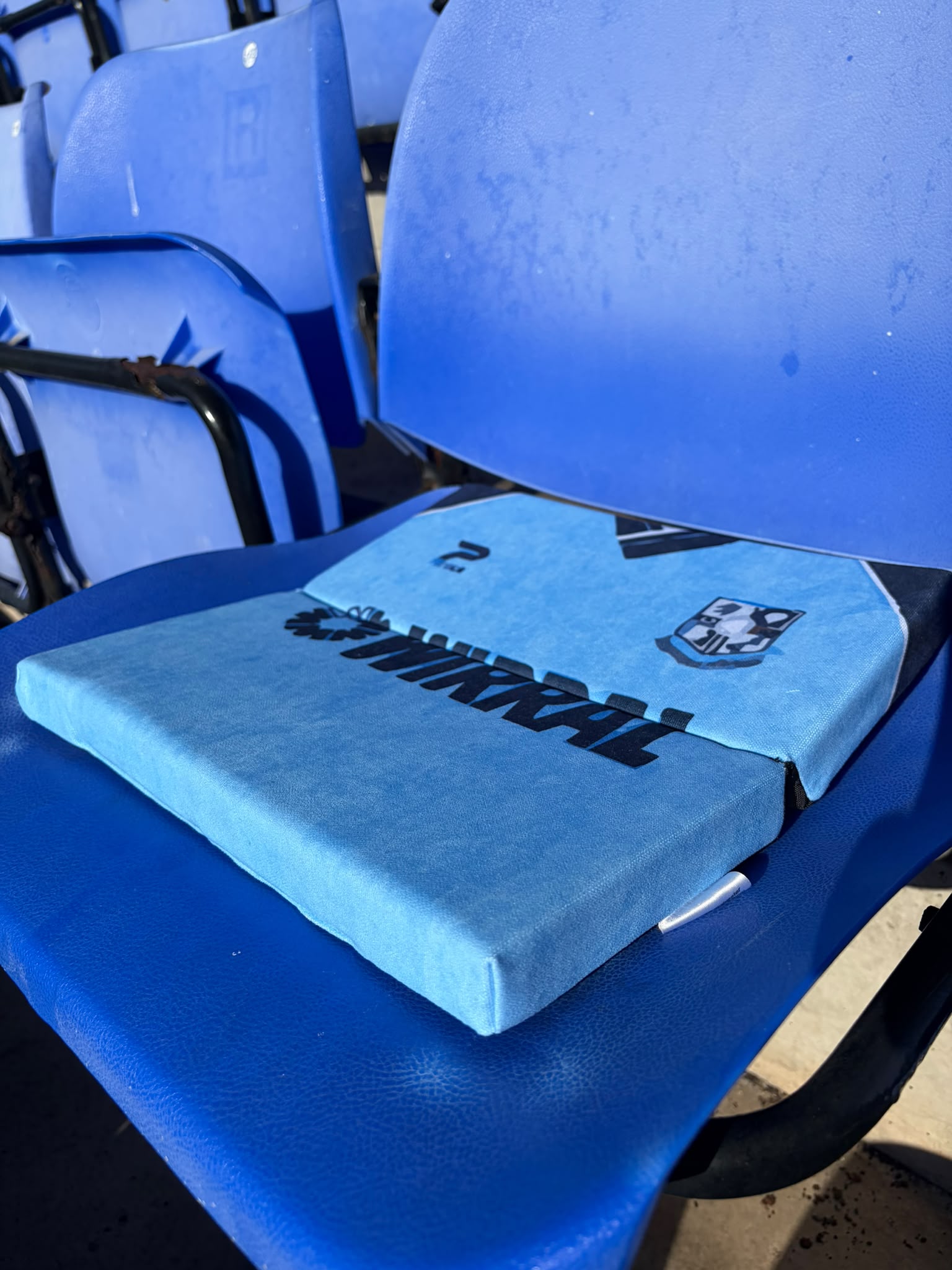 Vintage Seat Cushion