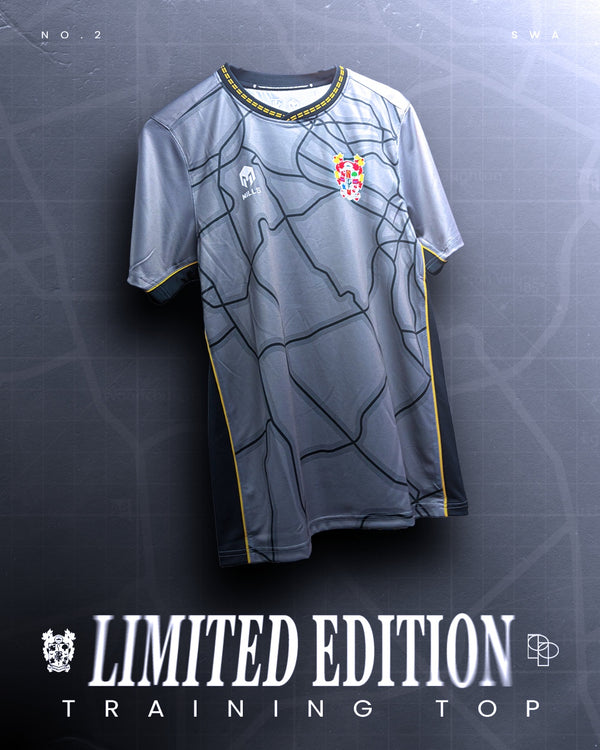 2026/27 | Grey Limited Edition Training T-Shirt | Adult