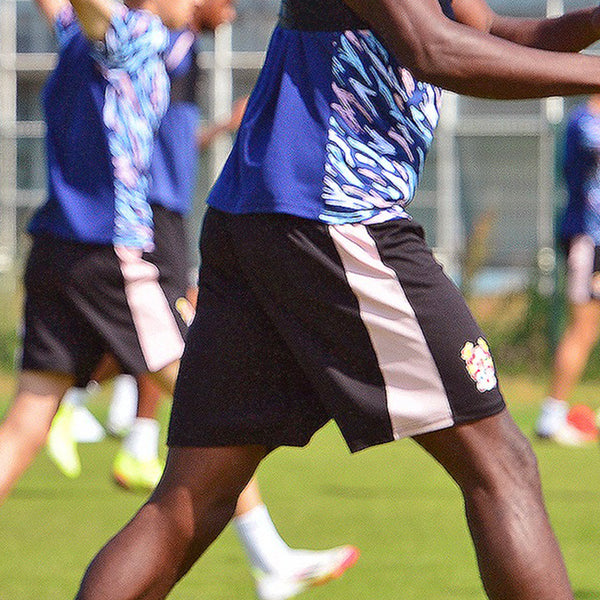 2025/26 | Training Shorts | Adult | Black
