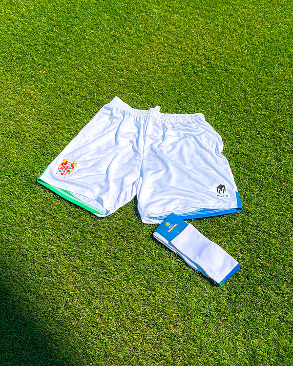 Home Socks | Adults | 2026/27