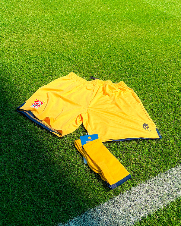 Home Goalkeeper Socks | Adult | 2026/27